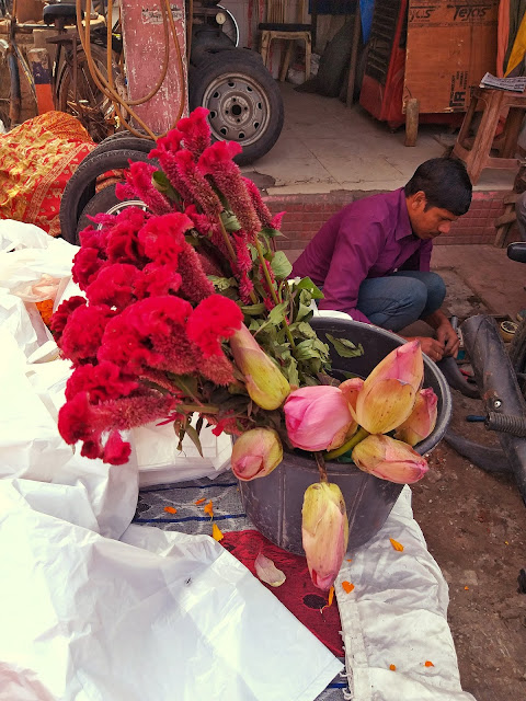 Lotus, flowers,diwali