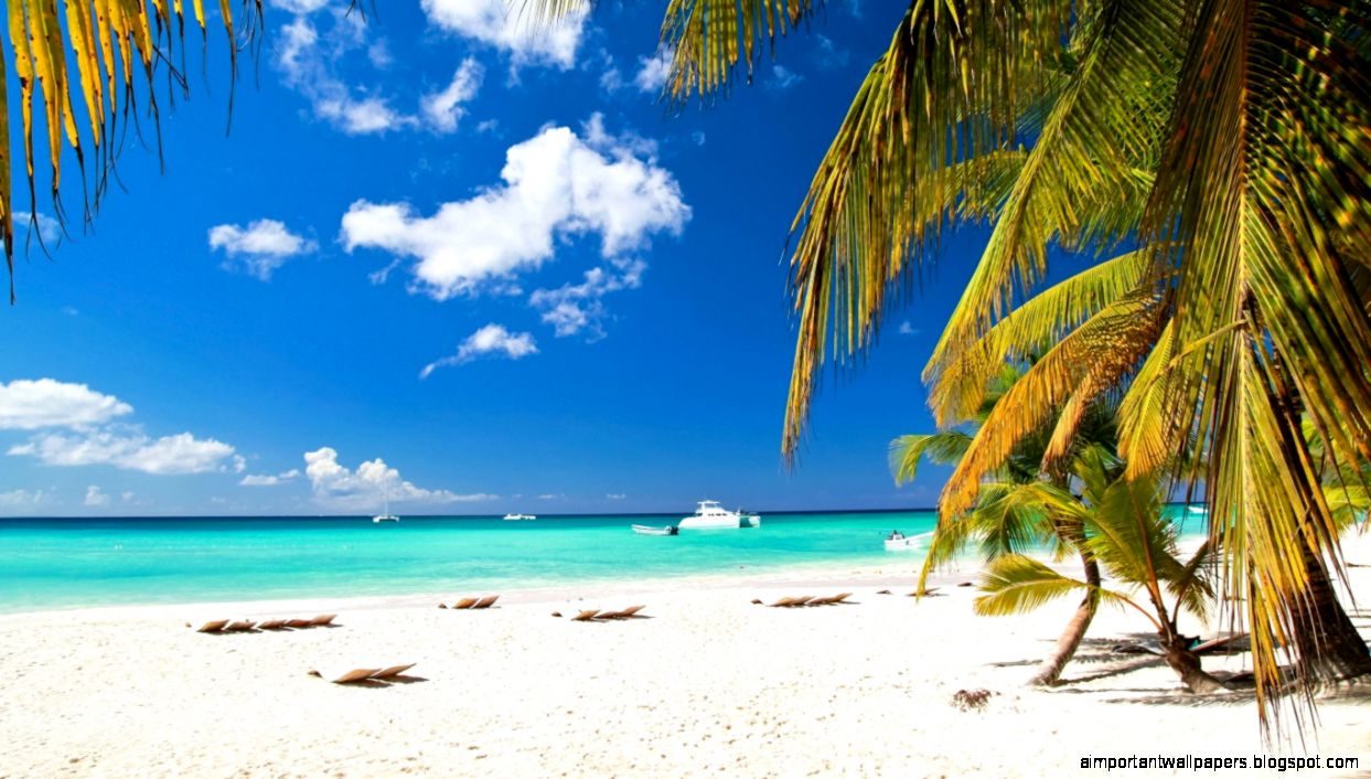 1366x768 Beach Palms Ships Wallpaper