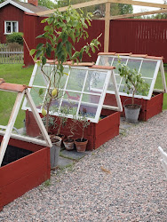 windows greenhouses salvaged greenhouse window designs box diy boxes mini repurposed using garden reclaimed dishfunctional salvage peace north another