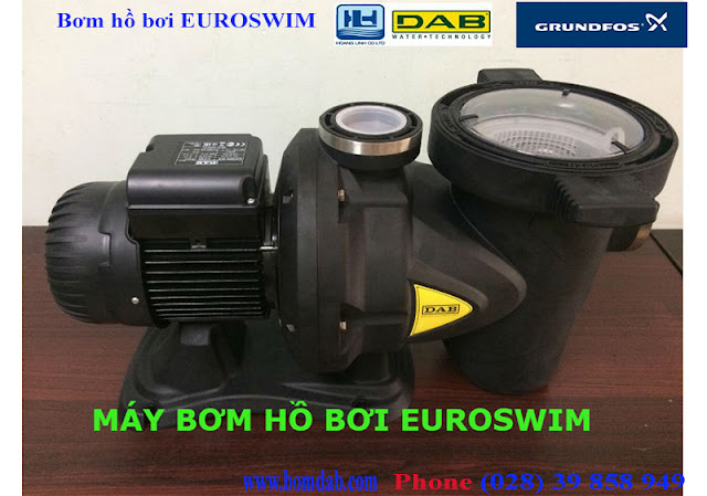 Máy bơm hồ bơi euroswim hãng của DAB Máy bơm hồ bơi euroswim hãng của DAB