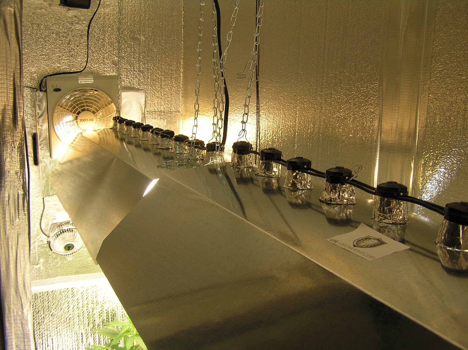 Craigslist Denver Grow Lights Colorado CFL Grow Lights