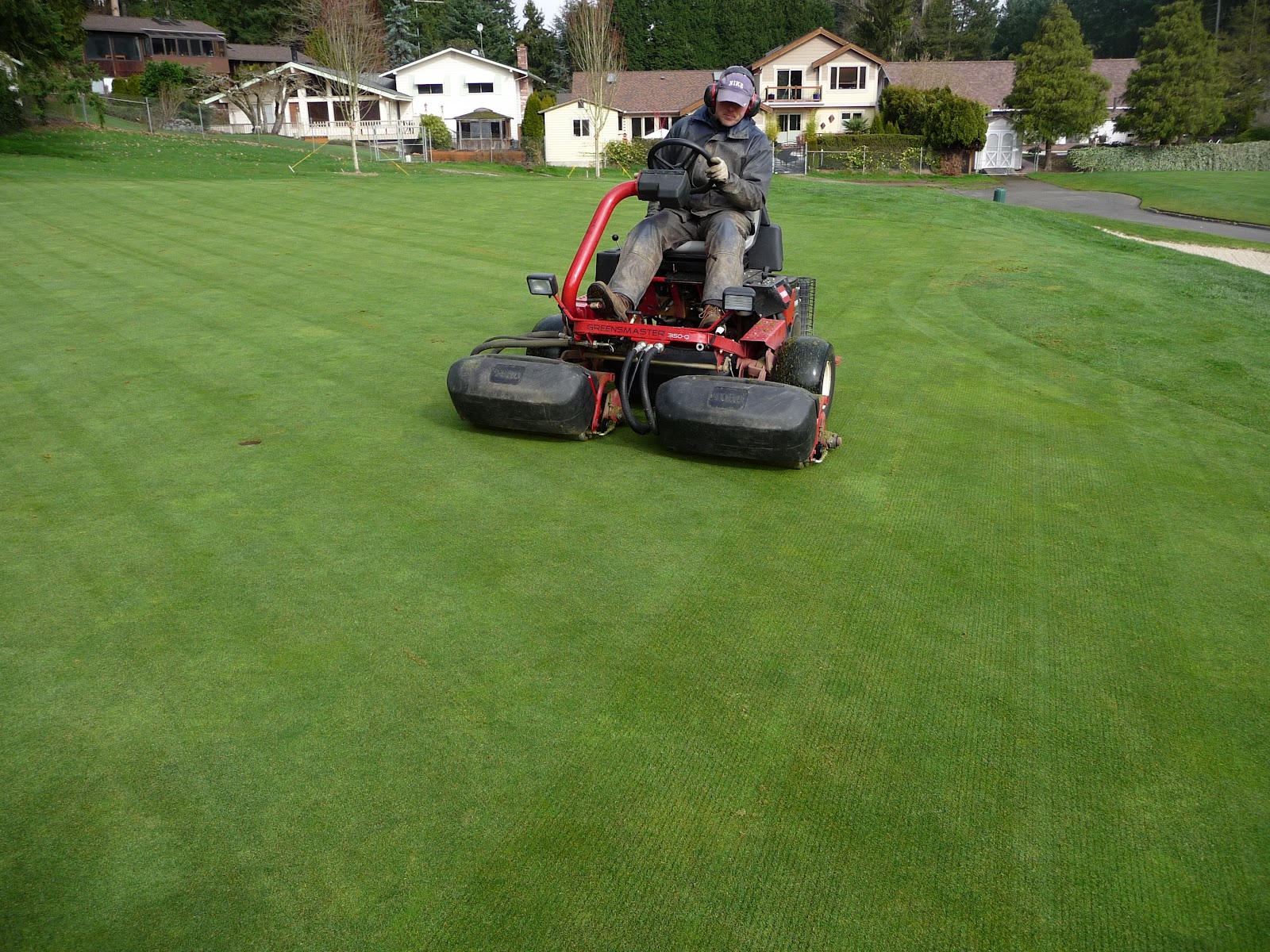 Glendale Country Club Verticutting and topdressing greens