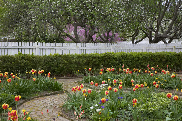 Colonial & Early American Gardens Historic Gardens Spring at