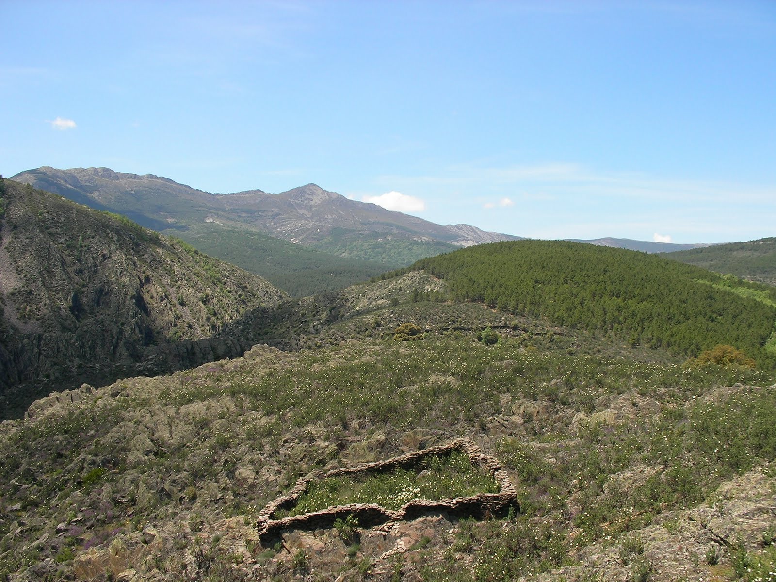 LA VEREDA (GUADALAJARA) GEOGRAFÍA POR LA HOZ DEL ARROYO VALLOSERA (III)