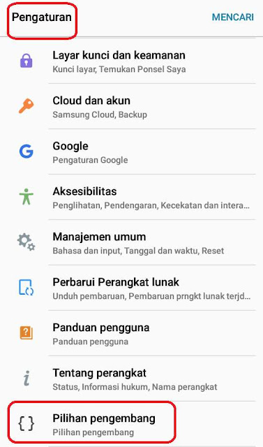 mengaktifkan pilihan pengembang cara mengaktifkan pilihan pengembang