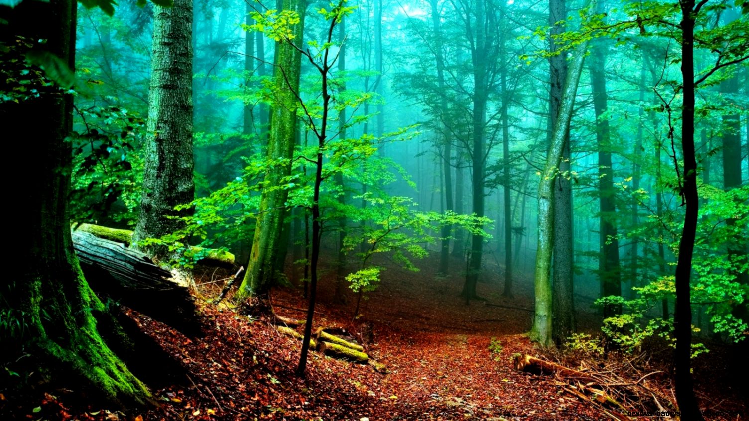 45 Desktop Wallpaper HD Backgrounds Available Here