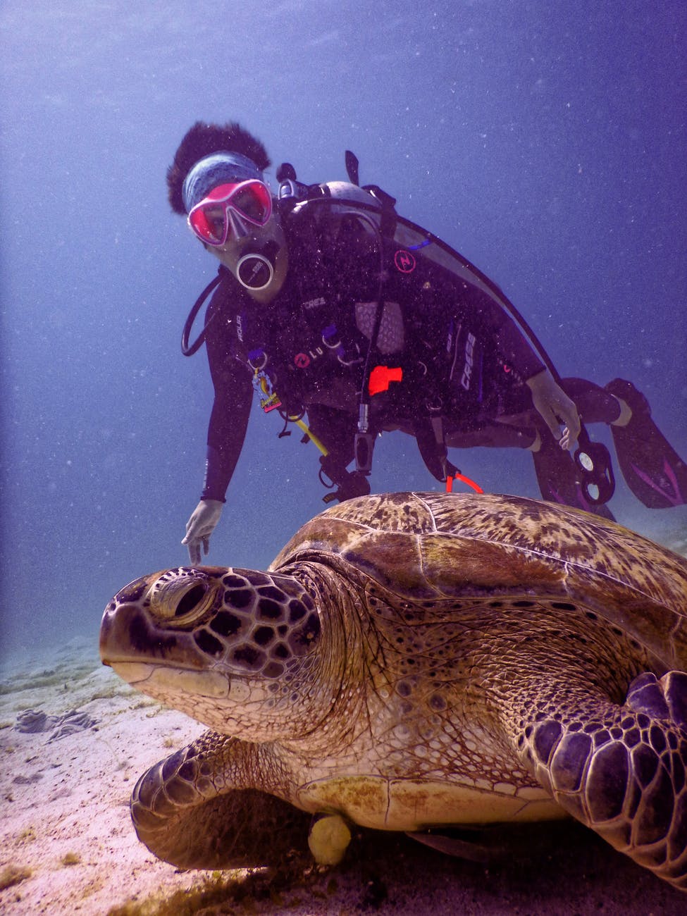 Best Diving Location of India