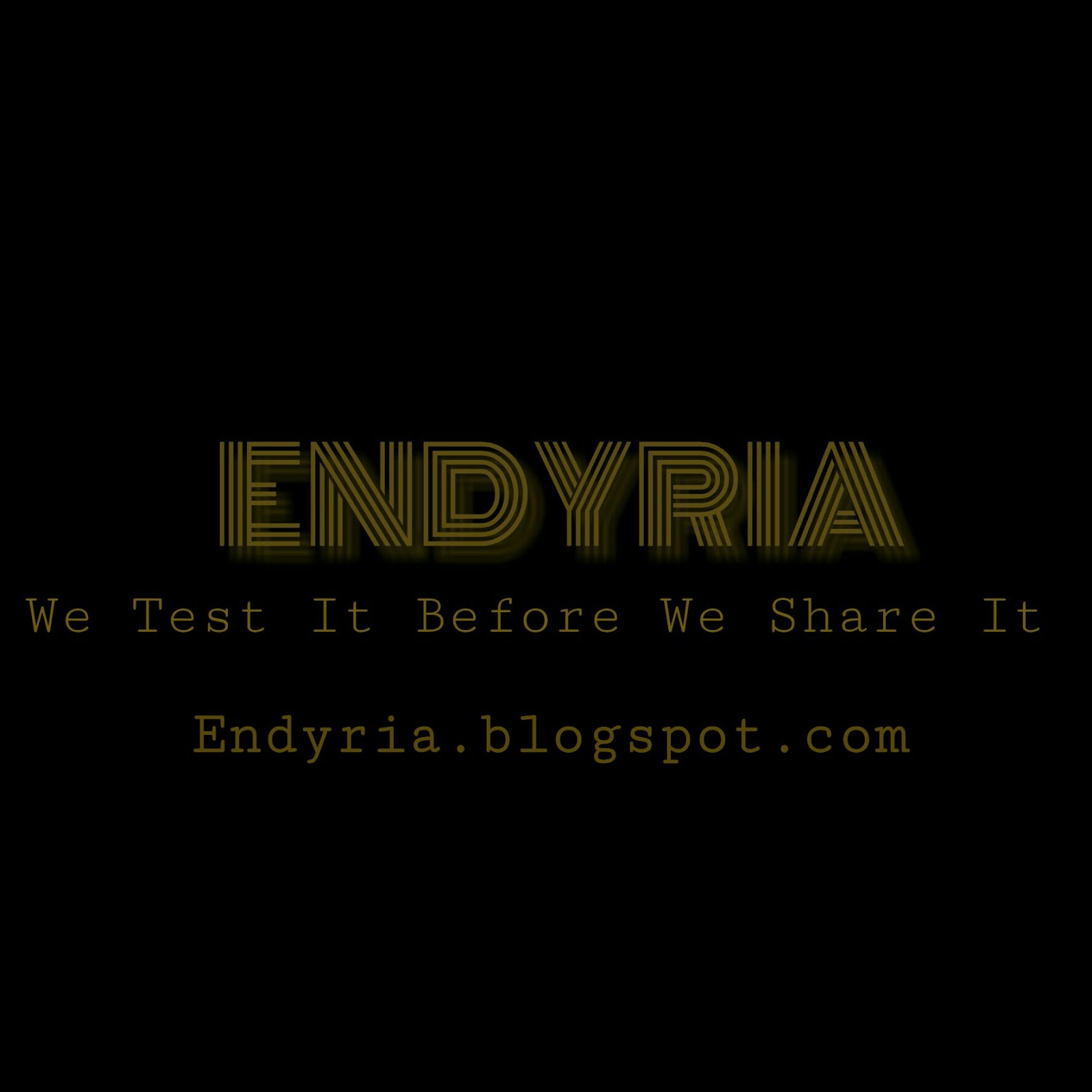 Endyria Long Term Investment