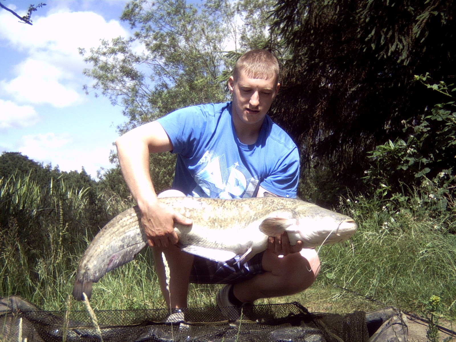 Fish of the Month July Entry Kent Catfish!