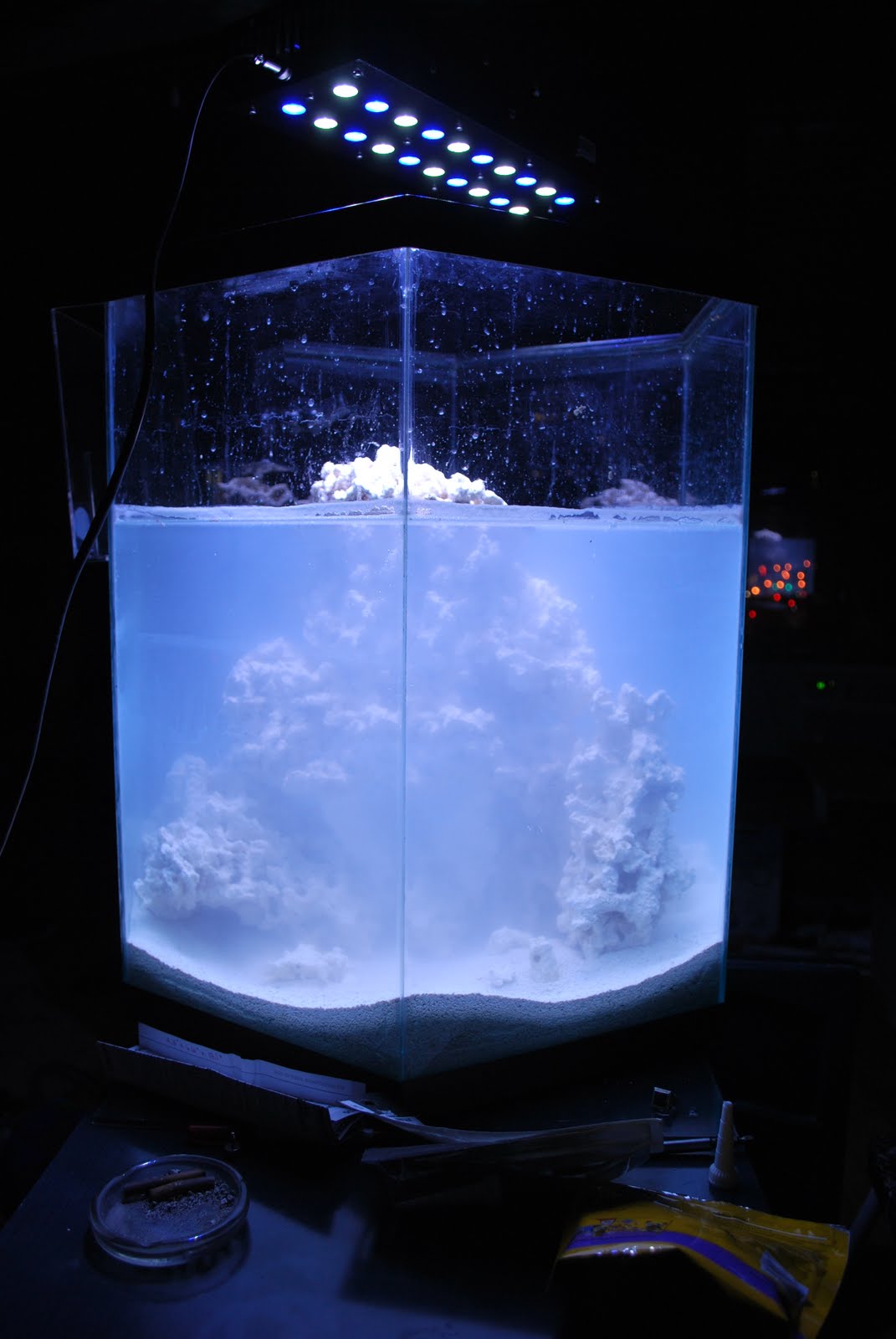 Alice's Saltwater Aquarium