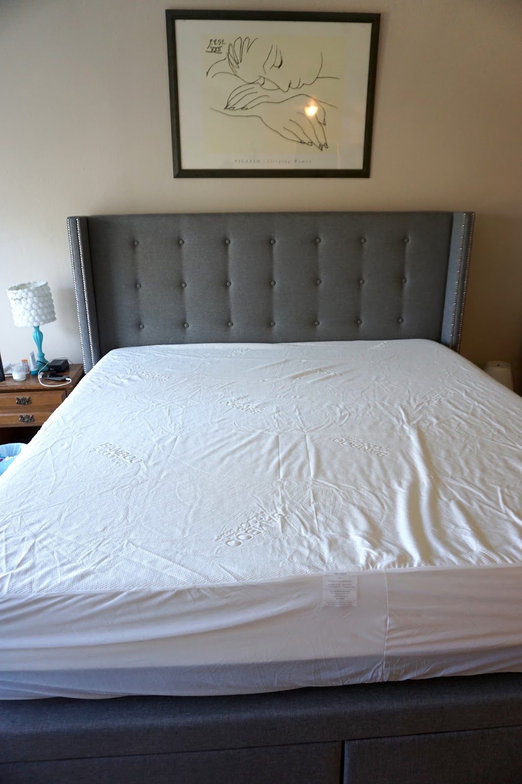 Ultra Luxe Bamboo Mattress Pad Protector Cover by Coop Home Goods ALL