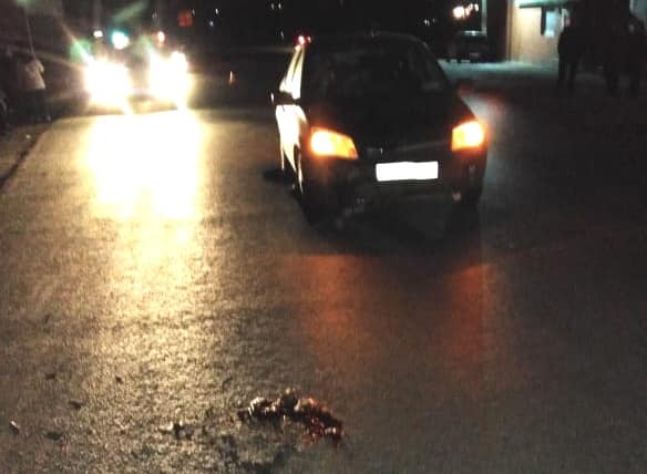 В Уфимском районе автоледи совершила наезд на девочку В Уфимском районе автоледи совершила наезд на девочку