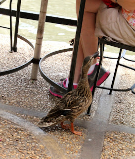 Riverwalk - San Antonio
