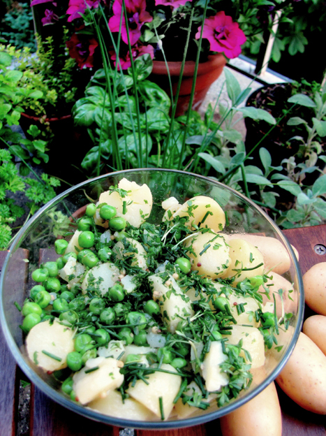 Genussbereit: Aus der Gichtküche: Kartoffel-Kräuter-Salat