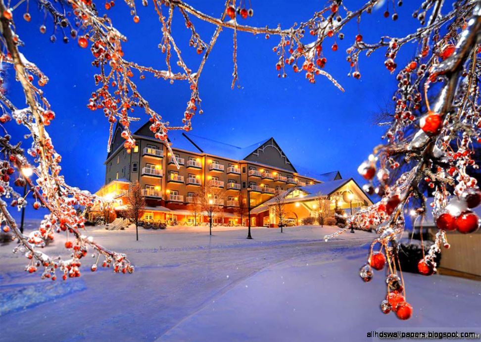 Winter Nature wallpapers   Crazy Frankenstein