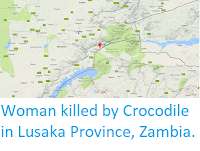 http://sciencythoughts.blogspot.co.uk/2017/09/woman-killed-by-crocodile-in-lusaka.html