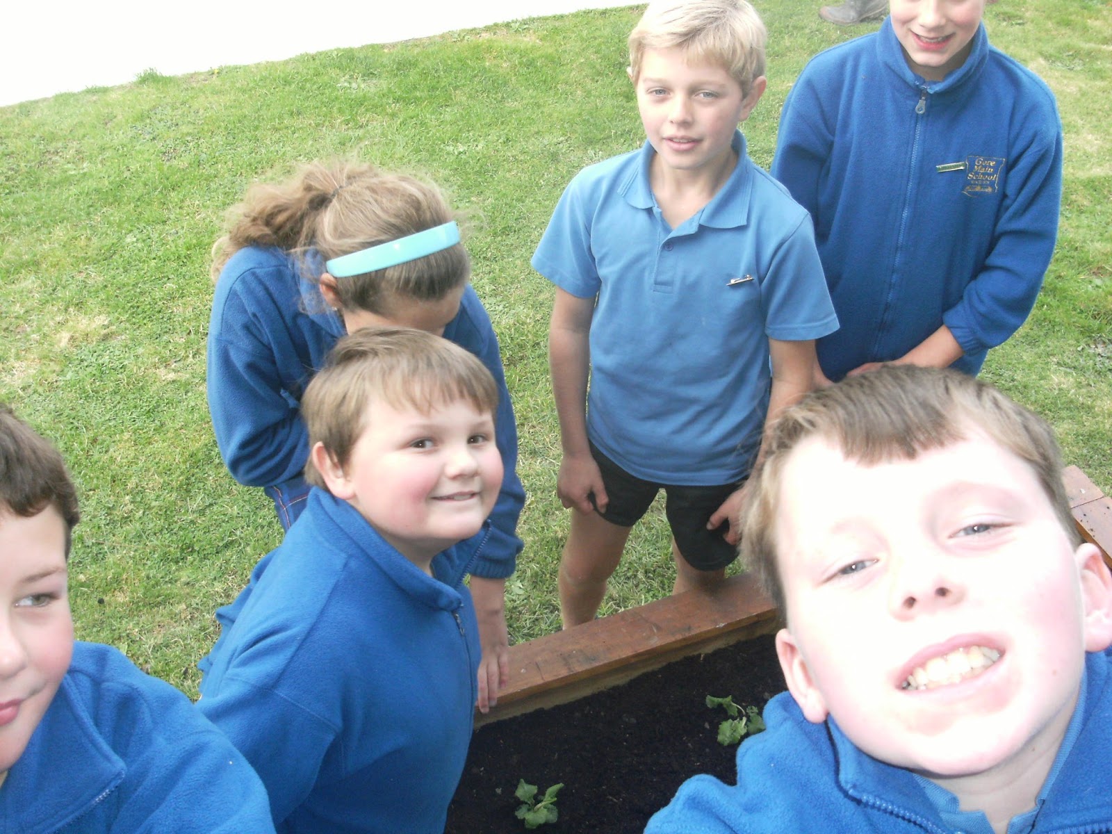 Enviro Group Gore Main School: Smarts 2013
