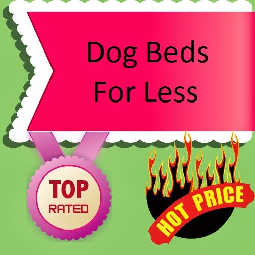 The Dog Blogger Dog Beds for Less