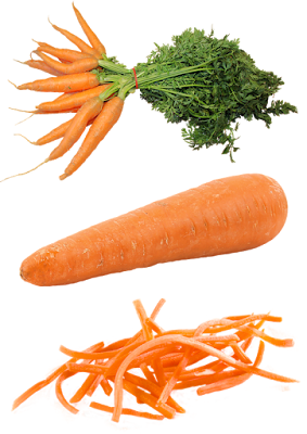 Wortel Carrot png (Transparent Background)