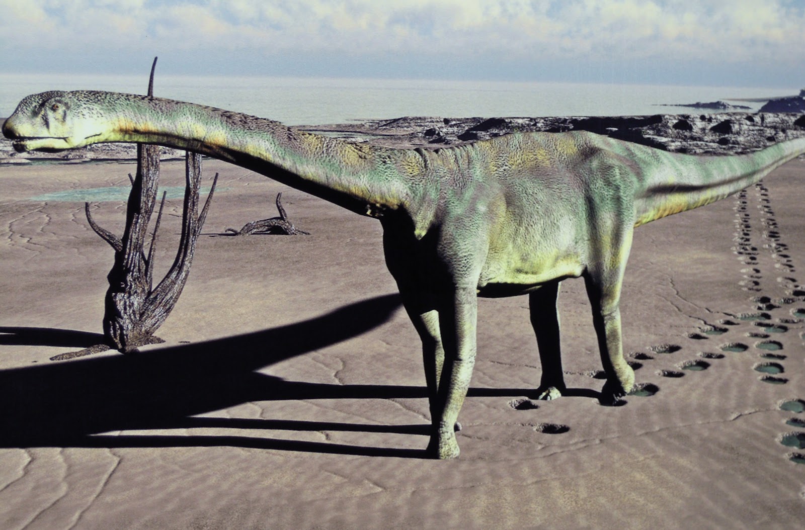 Foto de Titánica de Riodeva en Riodeva, Teruel