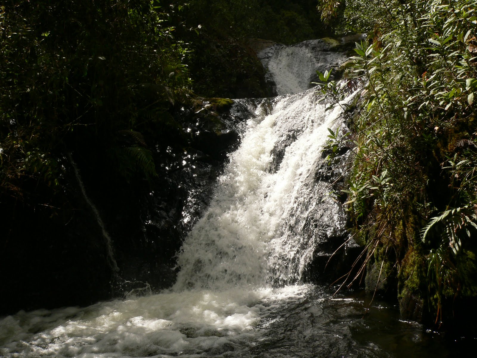 PAISAJE CULTURAL CAFETERO, ARQUITECTURA Y NATURALEZA: SANTUARIO RDA un 