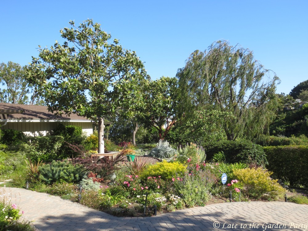 Late to the Garden Party What's a garden without trees?