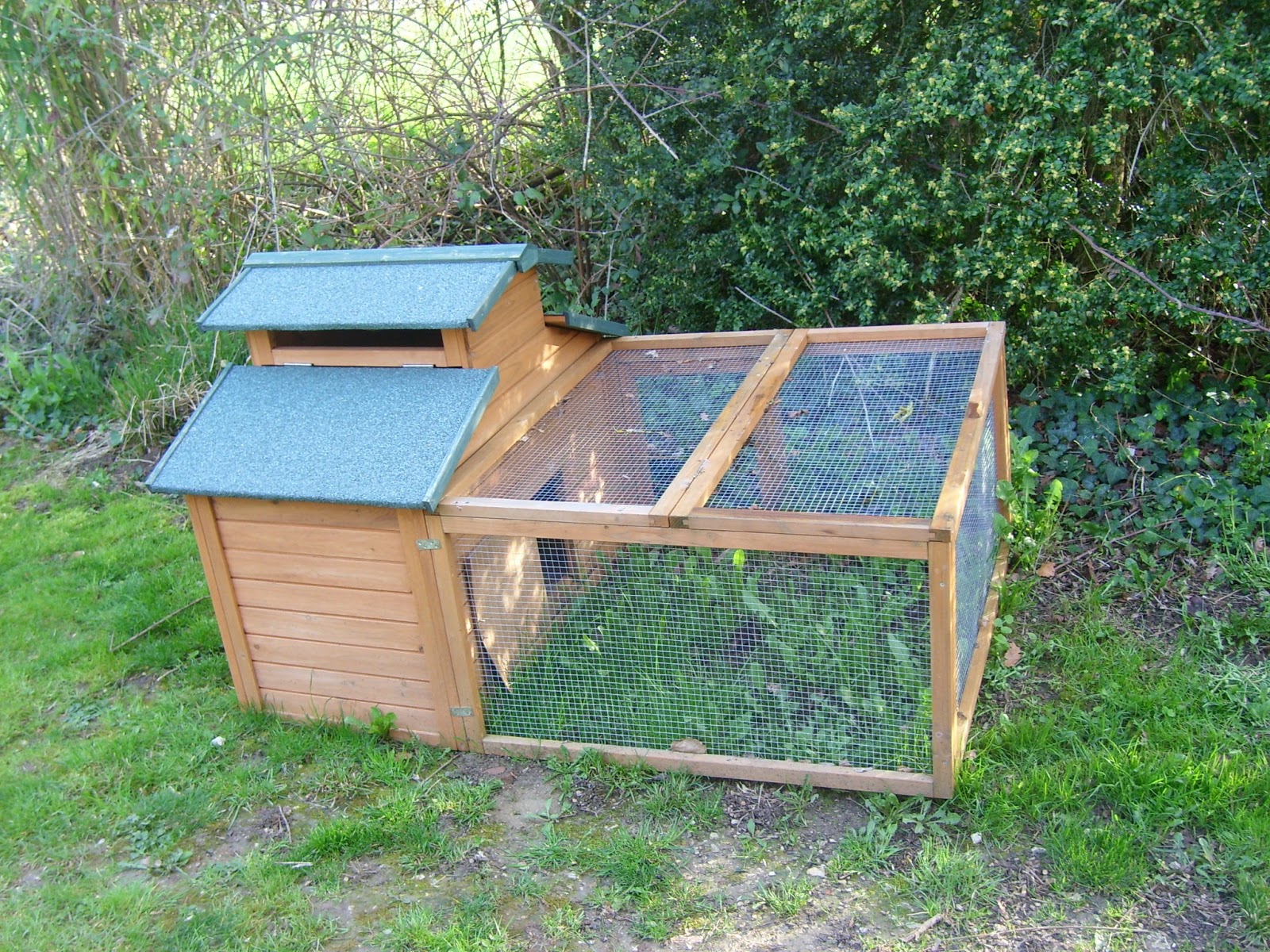 PDF Duck coop design plans Farmer Greek