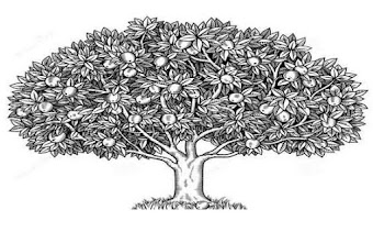 Contoh Psikotes Gambar Pohon Berkambium yang Benar