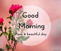 good morning flowers images hd