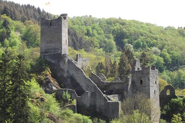 Wild 4 Washington Wine Wine Review Heinz Eifel 2011 Spatlese