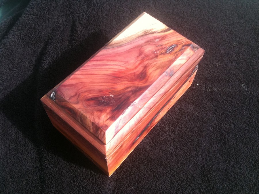 The Old Saw Yew Tree of Death...wood grain to die for