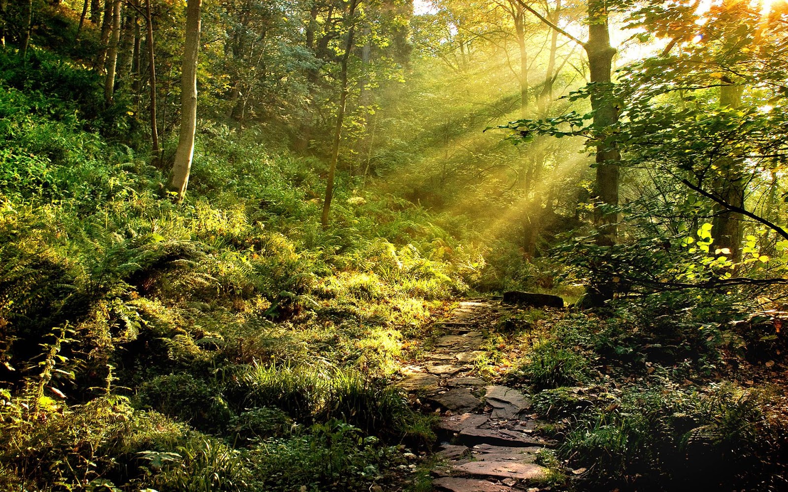 Enter The Door Within: Longing for the Straight Path...