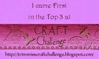 Top 3 CRAFT challenge