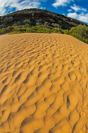 Dunes at Palm Beach