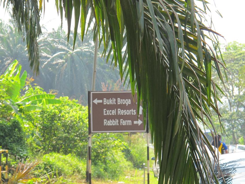 隐形的猫 2: Broga Rabbit Fun Land