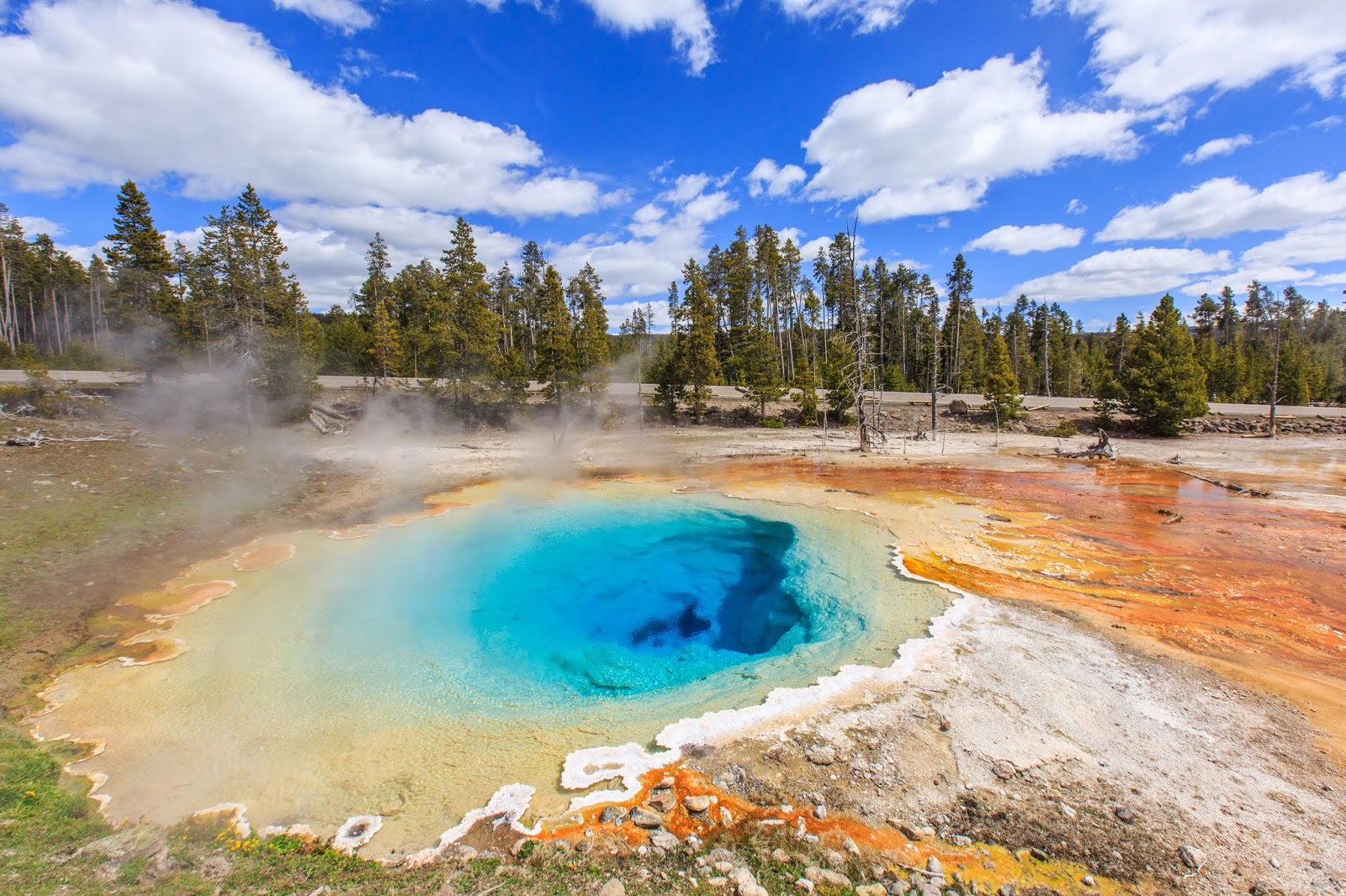 MR環遊世界度蜜年 - 300天20國路線分享 yellowstone national park 黃石國家公園
