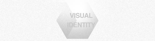 Understanding of Visual Identity System