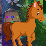 Games4king Colt Horse Rescue Walkthrough