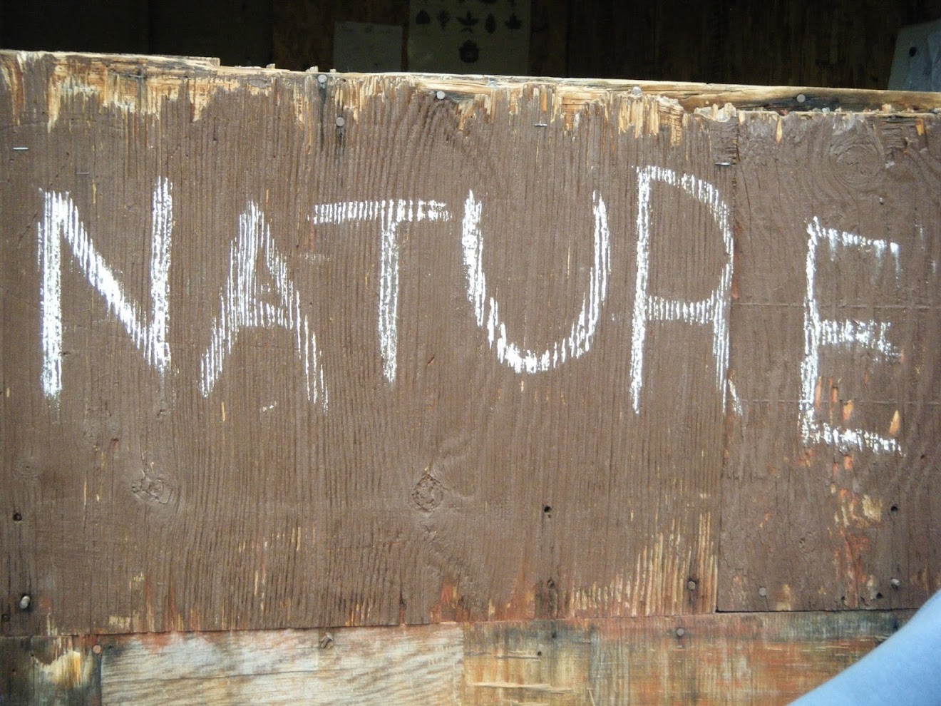 Environmental Science Merit Badge 2012 Lesson Plan