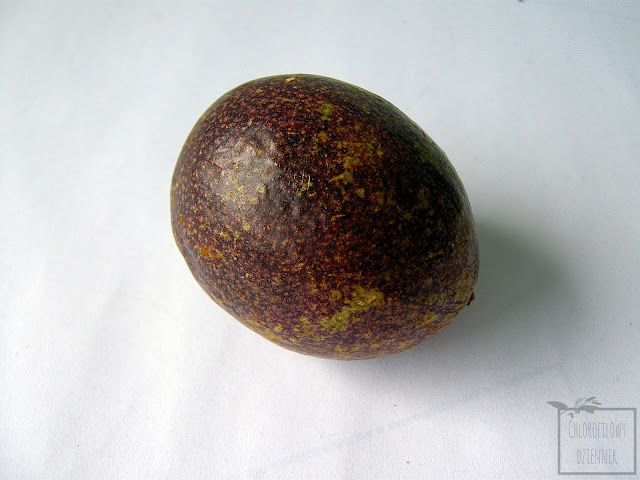 Marakuja, czyli męczennica jadalna (Passiflora edulis) - owoc. Skórka, miąższ, owoce marakui - zdjęcia.