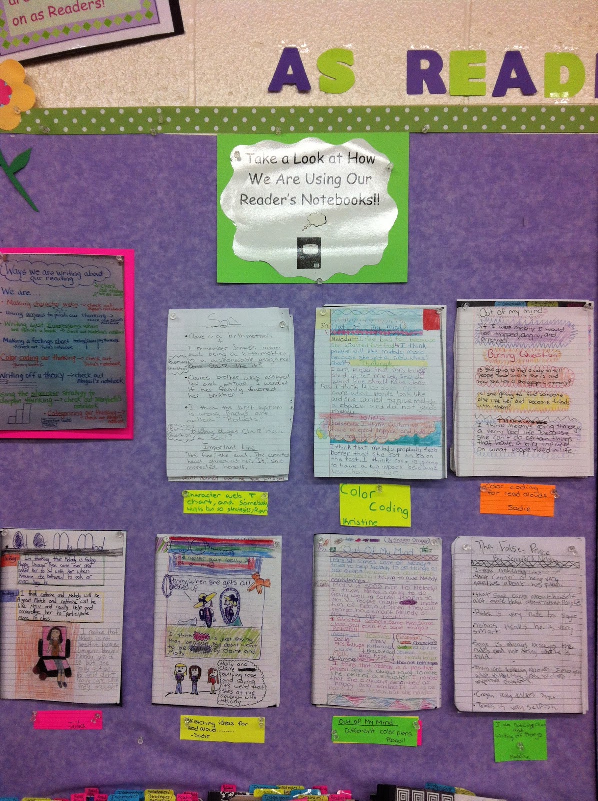 Two Reflective Teachers Bulletin Boards and Charts