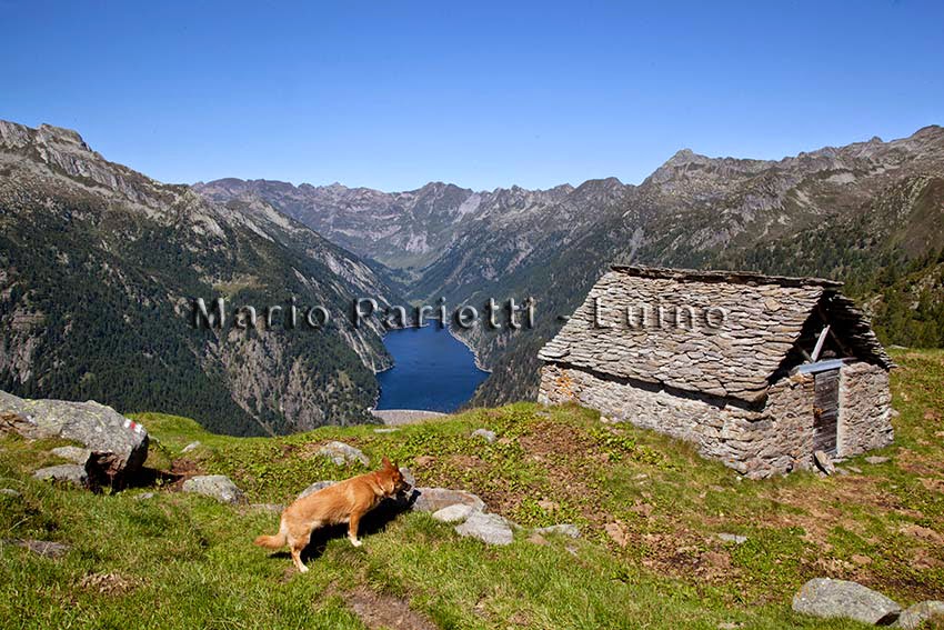 Lago di Sambuco a Cort du Sass Lago di Sambuco a Cort du Sass