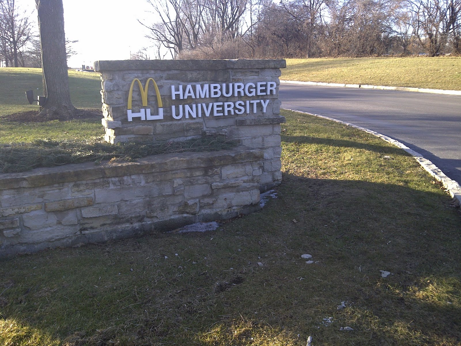 I want to wear beads every day The meeting at Hamburger University