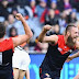 AFL Preview Round 12: Demons v Magpies