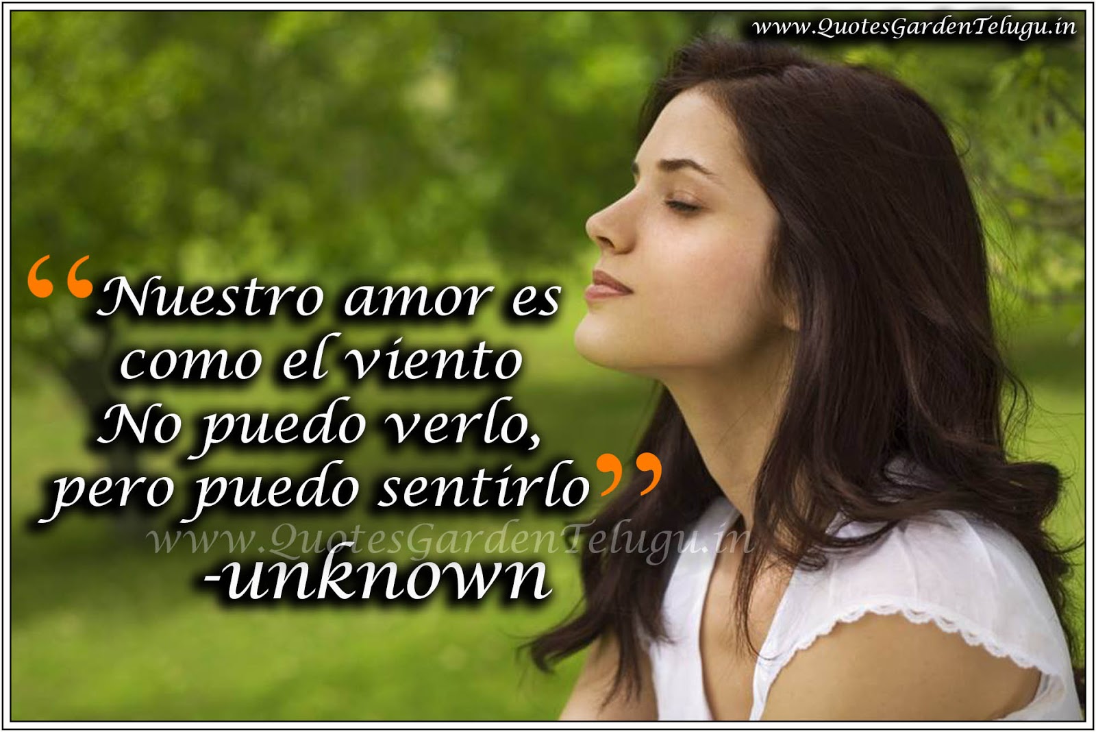 Best Love Quotes In Spanish Love Messages In Spanish Quotes Garden Telugu Telugu Quotes 