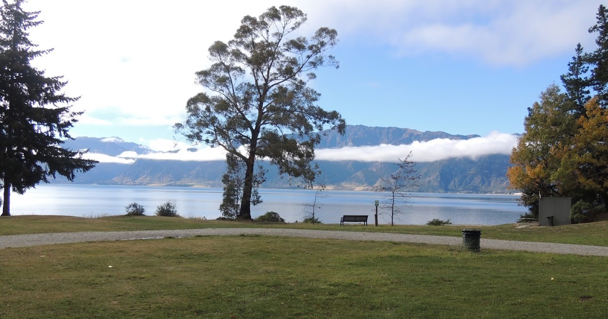 THE ROAD TAKEN Aotearoa + Lamb Chops For Breakfast