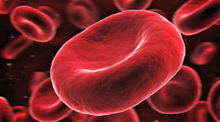 Nyesel Kalau Tidak Minum Air Putih Setiap Hari! Inilah 10 Manfaat Minum Air Putih Yang Dahsyat