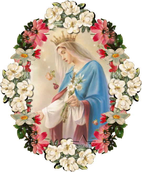 Virgen María - Reina del Universo