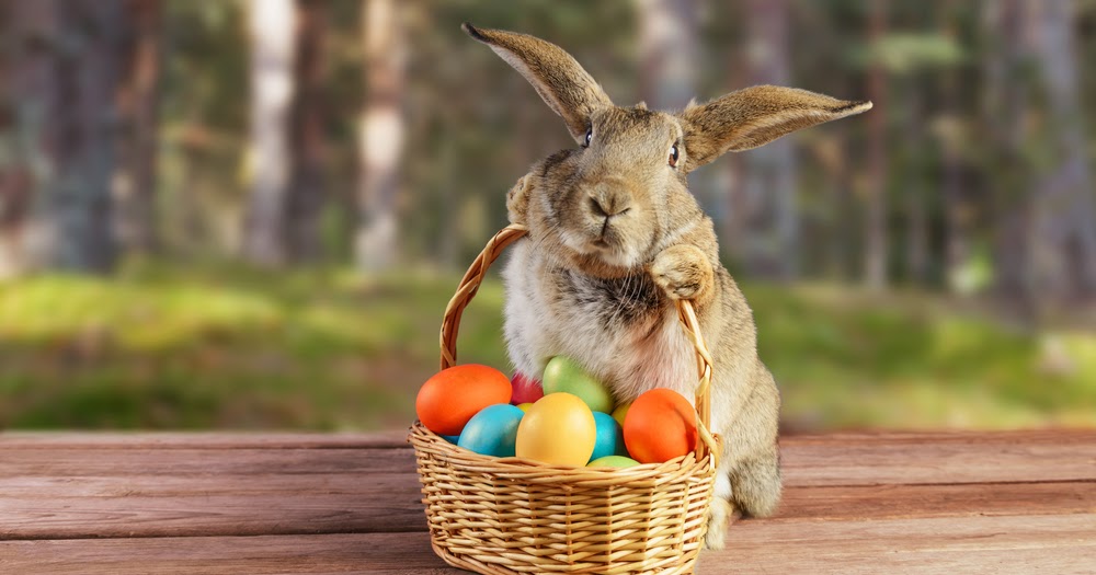 Der Postillon Sonntagsfrage Glauben Sie noch an den Osterhasen?