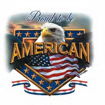 The Troubled Patriot: Proud American